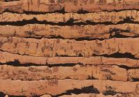 Пробковый пол Corkstyle Natural Cork Glue Tigre
